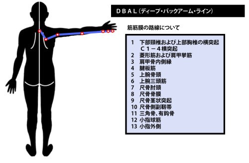 東御市,上田市,小諸市,整体,指圧,ほぐしや,マッサージ,アナトミー・トレイン